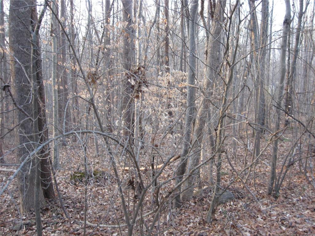 Graham, North Carolina 27253, United States, ,Land,Active,236803