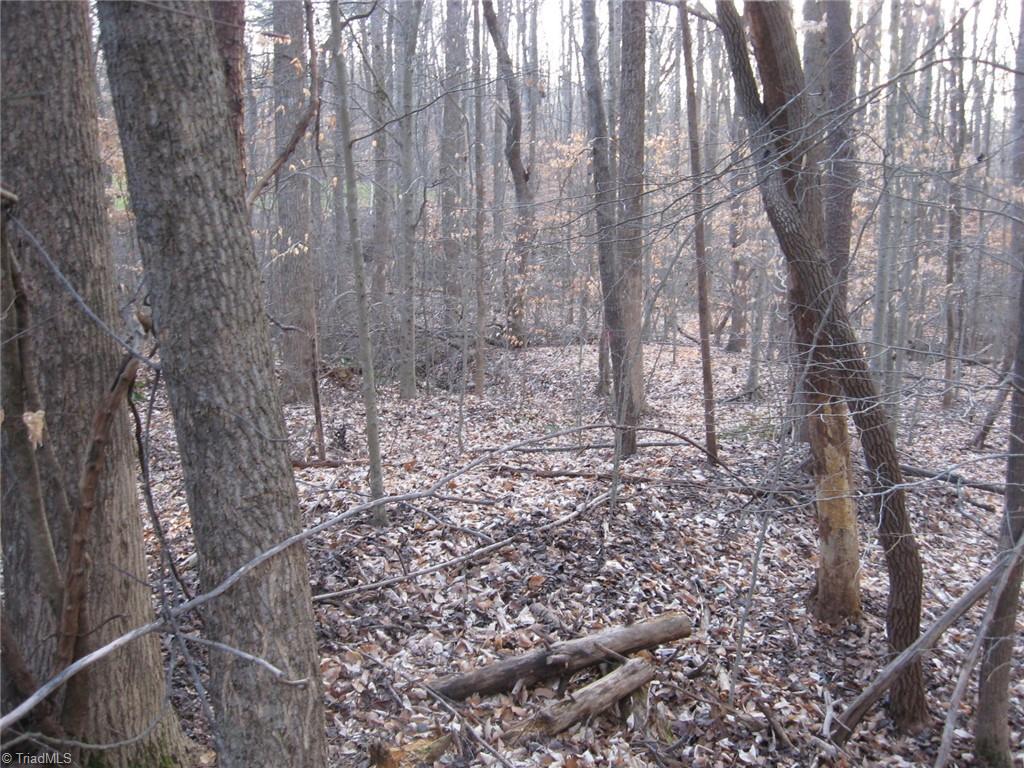 Graham, North Carolina 27253, United States, ,Land,Active,236803