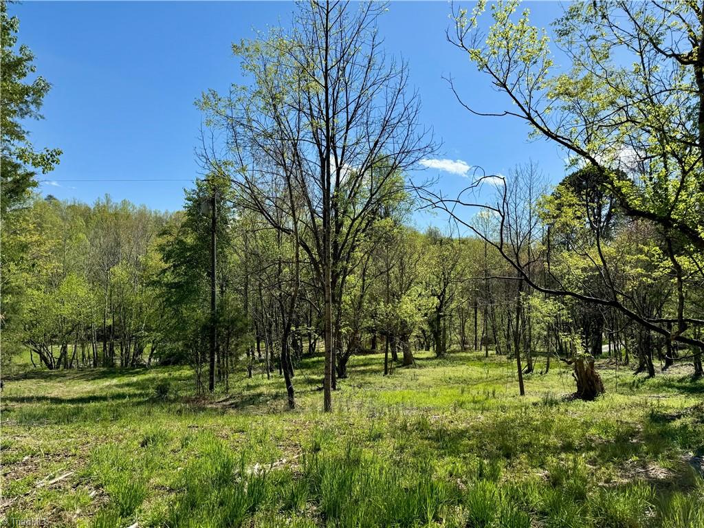 3 Thomas Farm Road, King, North Carolina image 11