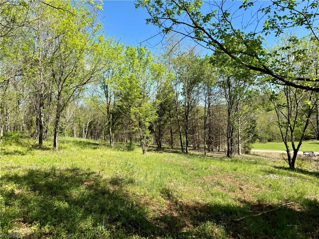 3 Thomas Farm Road, King, North Carolina image 14