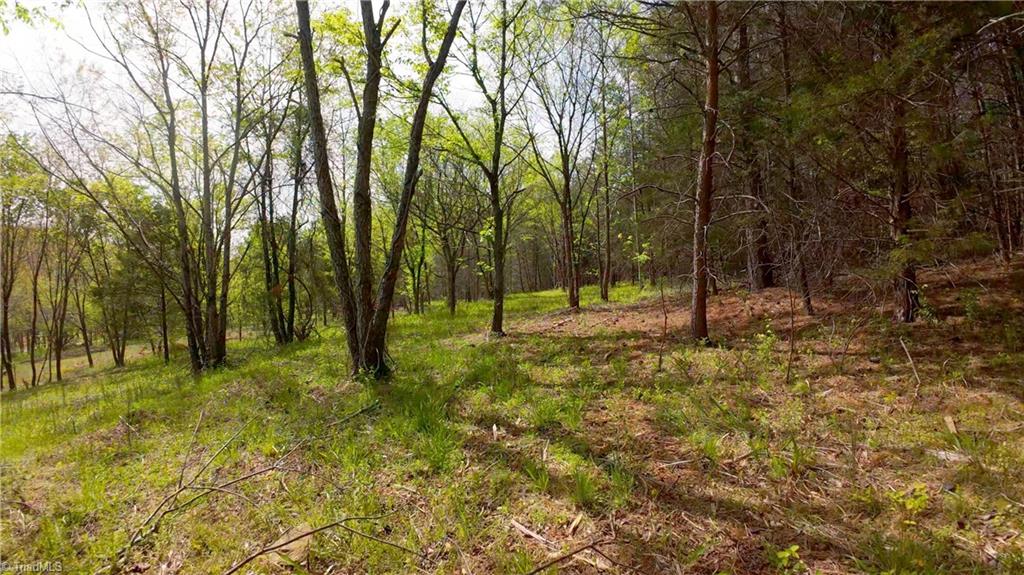 3 Thomas Farm Road, King, North Carolina image 42