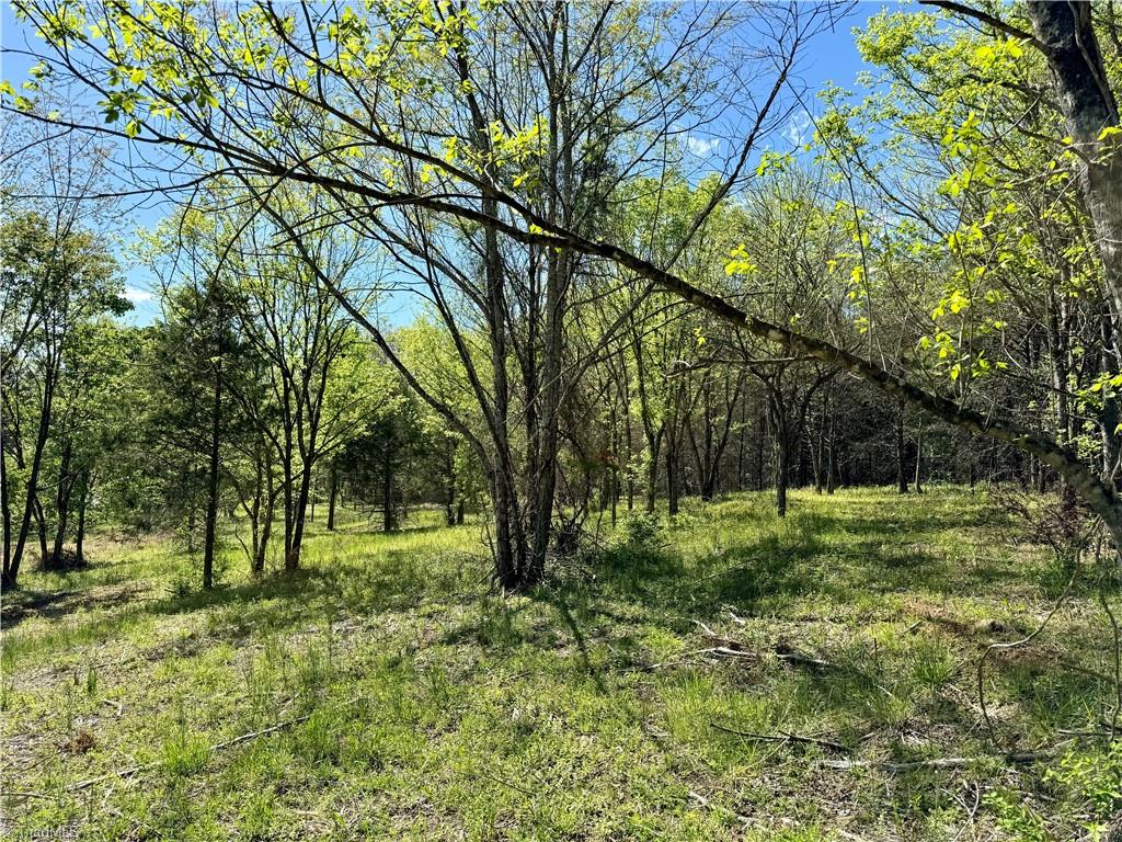 3 Thomas Farm Road, King, North Carolina image 16