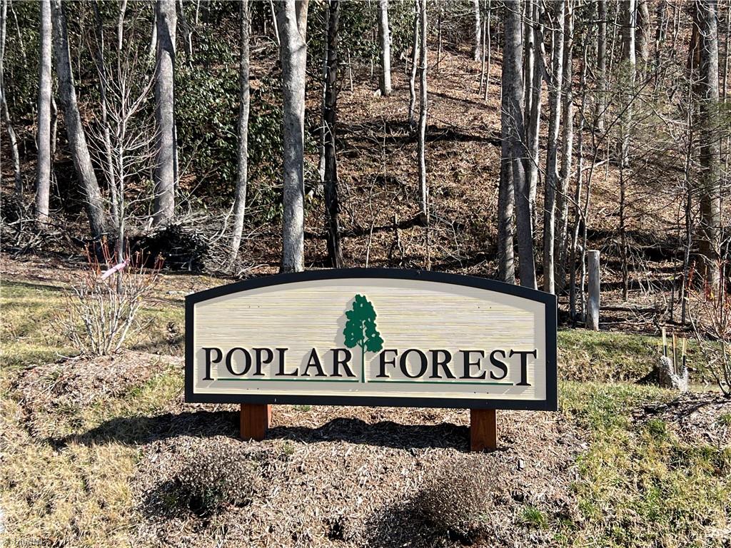 TBD (Lot 69) Poplar Forest Drive, Boone, North Carolina image 11