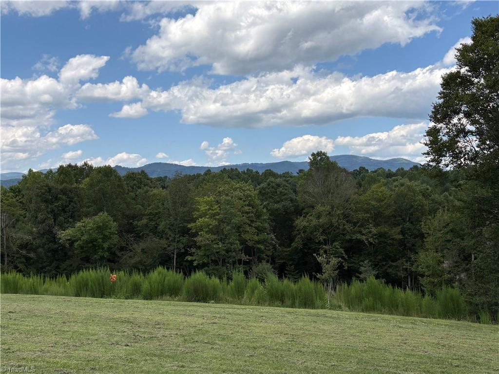 Photo of 910 Hanks Street, Traphill, NC 28685 (MLS # 1233284)