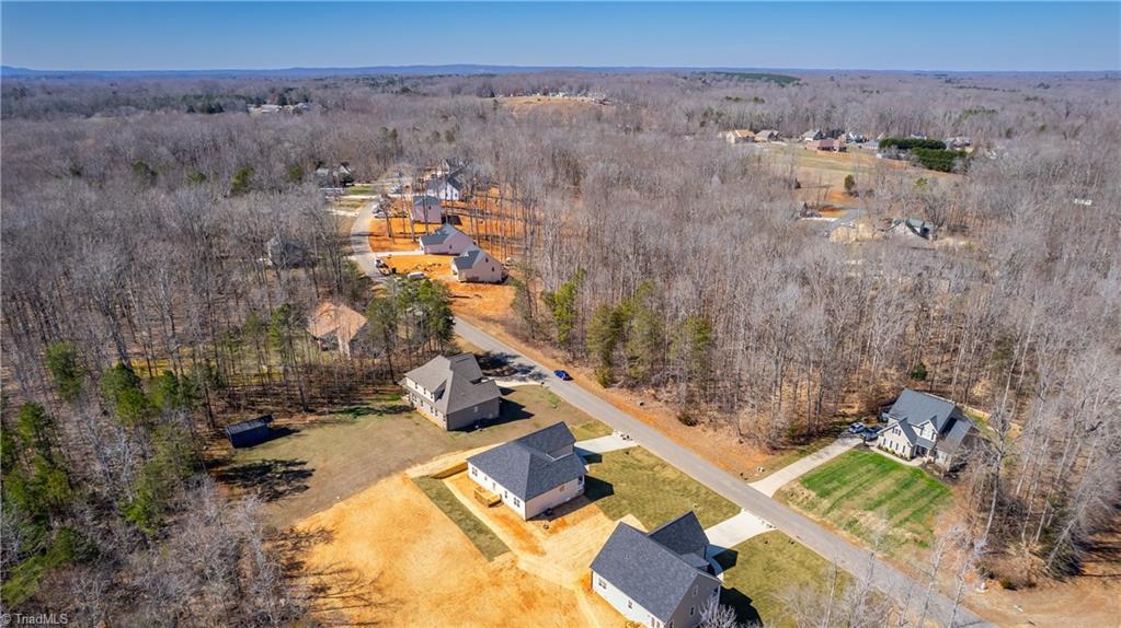 3076 Wesley Farm Lane, Sophia, North Carolina image 31