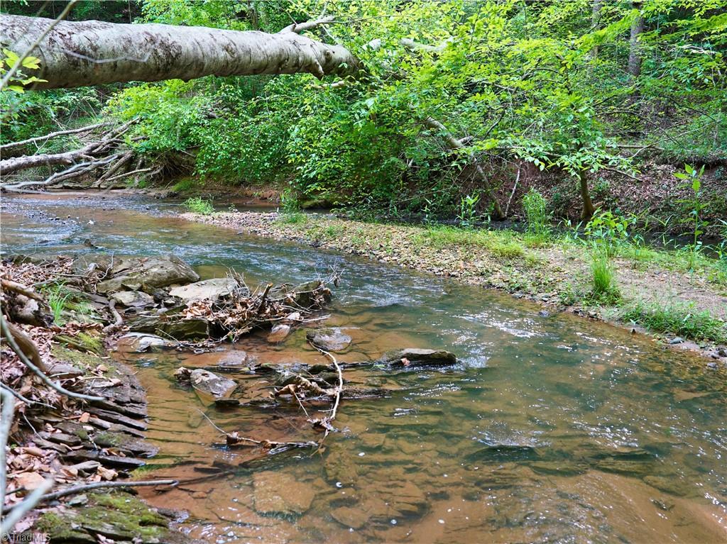 843 Wilson Mill Rd, Bassett, Virginia image 34