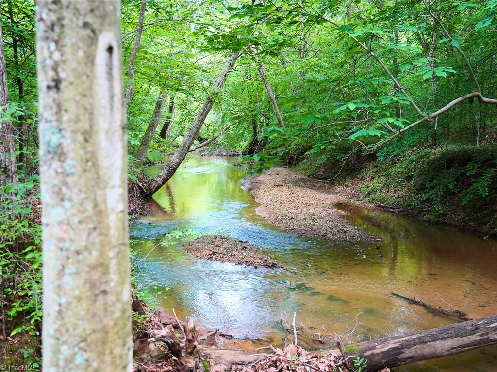 843 Wilson Mill Rd, Bassett, Virginia image 31