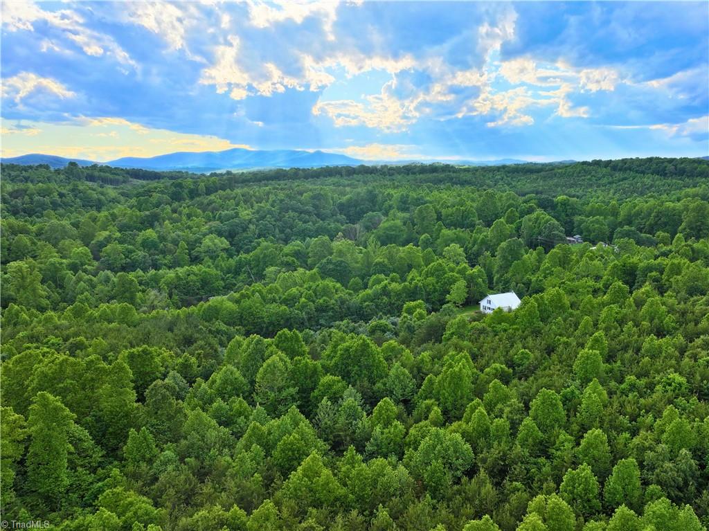 843 Wilson Mill Rd, Bassett, Virginia image 1