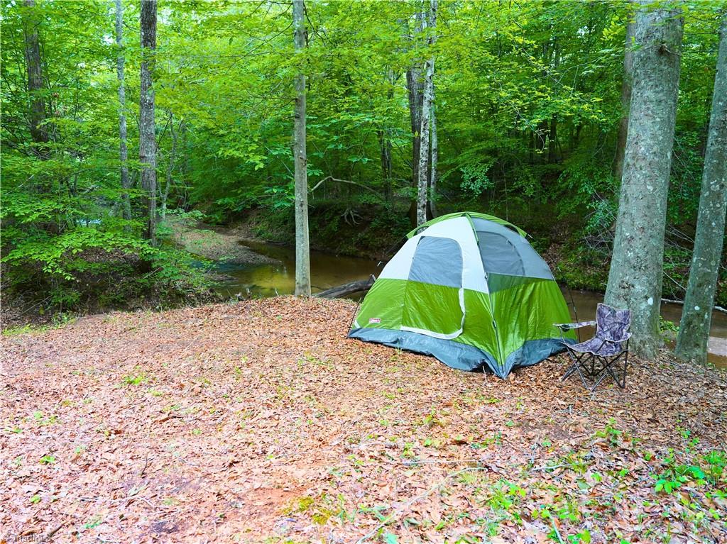 843 Wilson Mill Rd, Bassett, Virginia image 35
