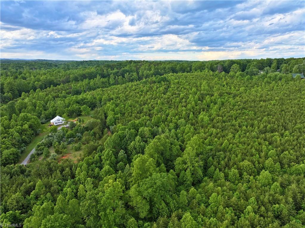 843 Wilson Mill Rd, Bassett, Virginia image 39