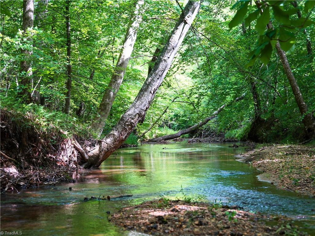 843 Wilson Mill Rd, Bassett, Virginia image 27