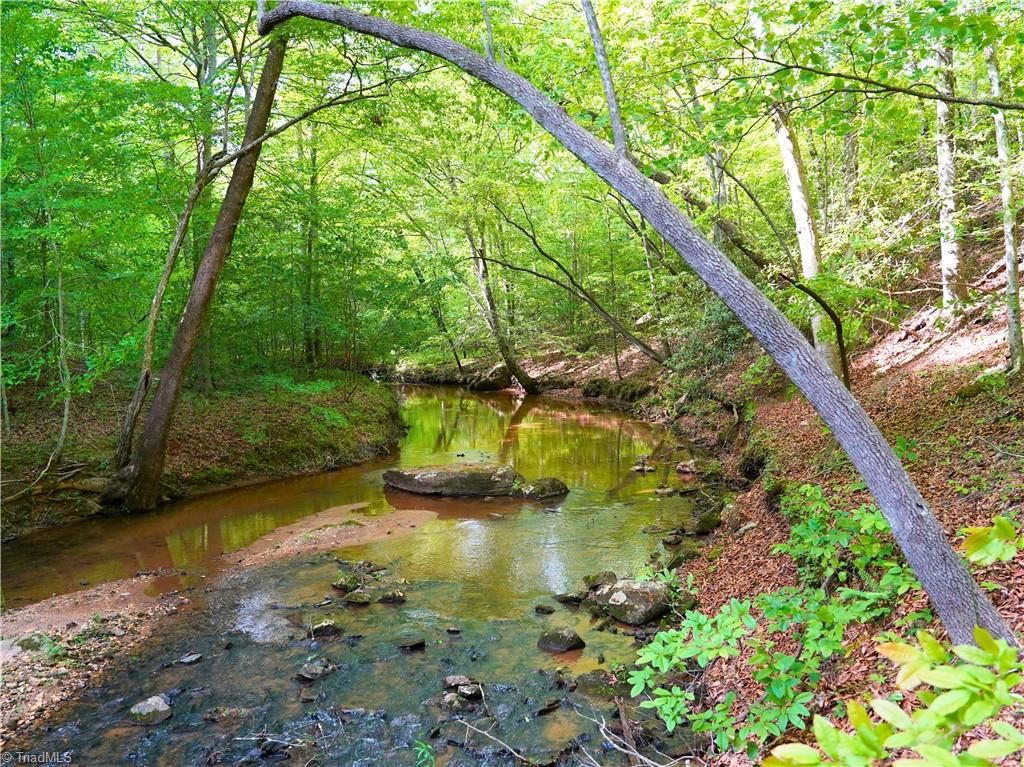 843 Wilson Mill Rd, Bassett, Virginia image 19