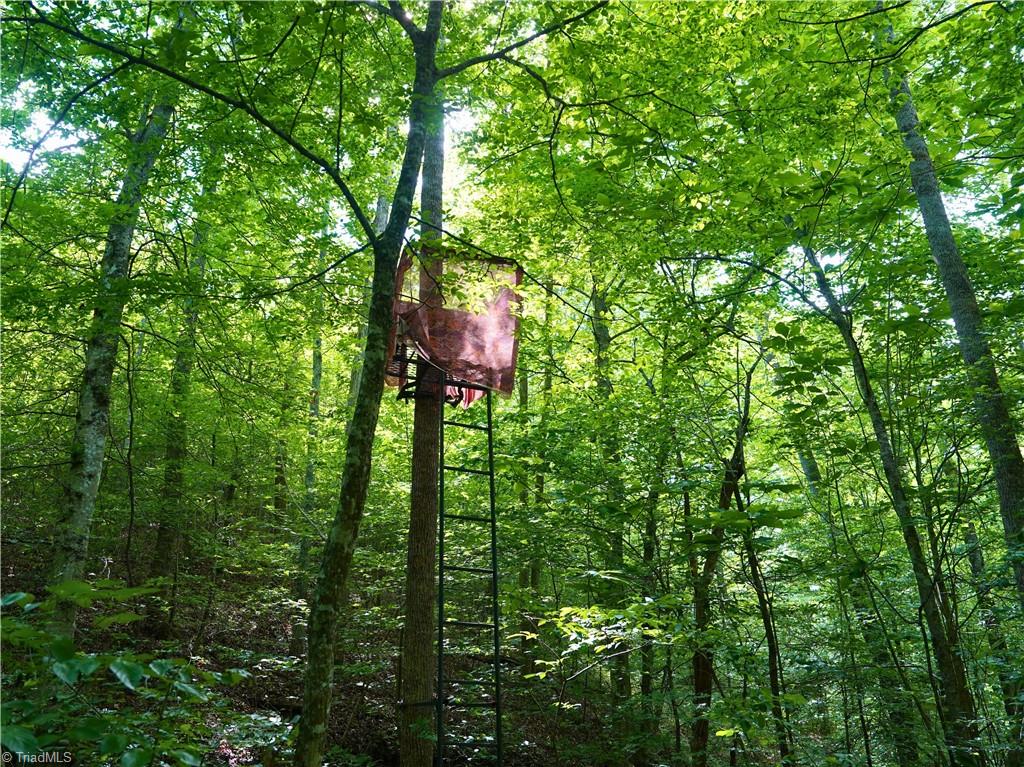 843 Wilson Mill Rd, Bassett, Virginia image 23