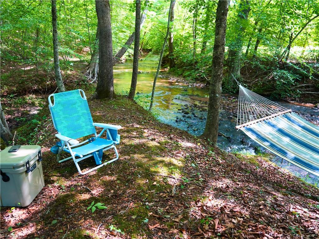 843 Wilson Mill Rd, Bassett, Virginia image 42