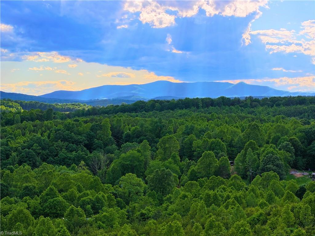 843 Wilson Mill Rd, Bassett, Virginia image 37