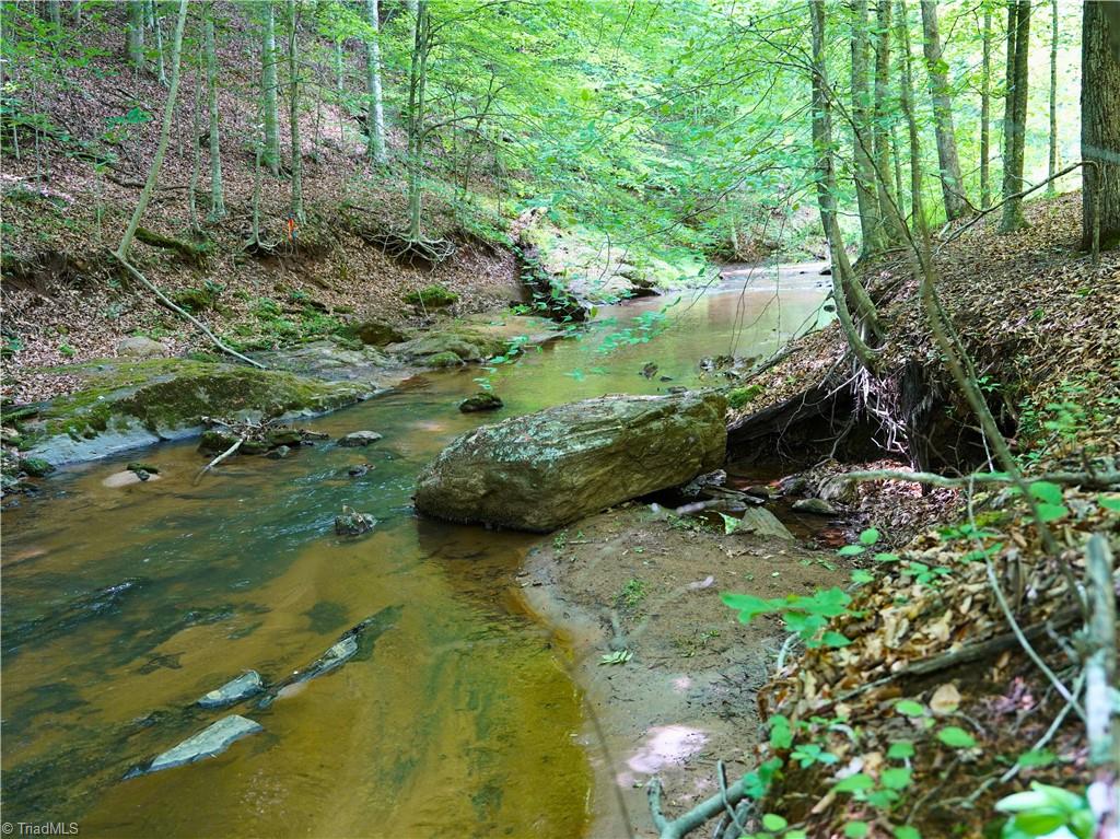 843 Wilson Mill Rd, Bassett, Virginia image 36