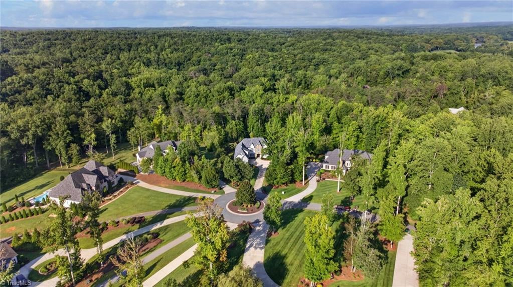 Photo of 920 Limberlost Lane, Lewisville, NC 27023 (MLS # 1235037)