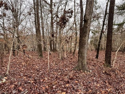 Vacant Land For Sale - Church Road #551<br/> New London, NC 28127