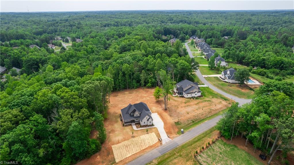 1425 Loch Lomond Drive, Summerfield, North Carolina image 43