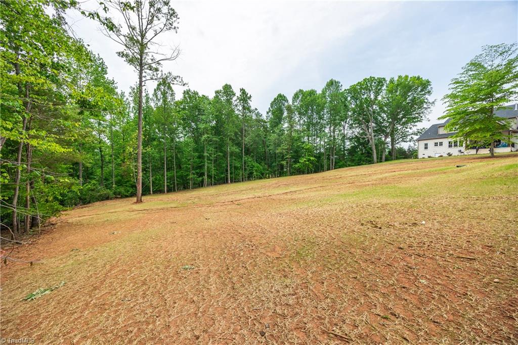1425 Loch Lomond Drive, Summerfield, North Carolina image 38