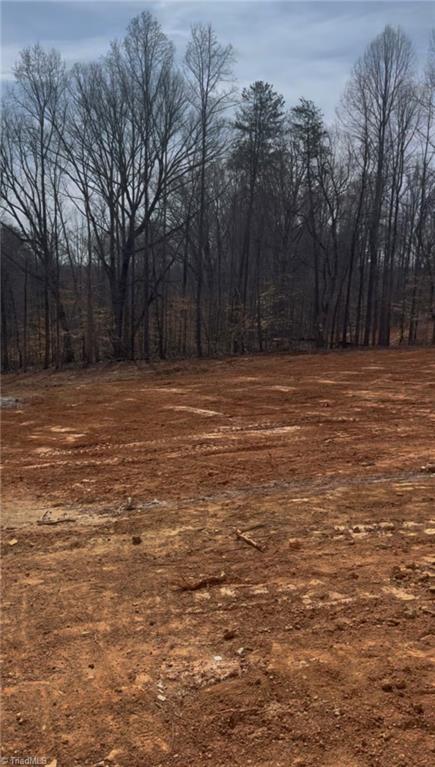 1425 Loch Lomond Drive, Summerfield, North Carolina image 23