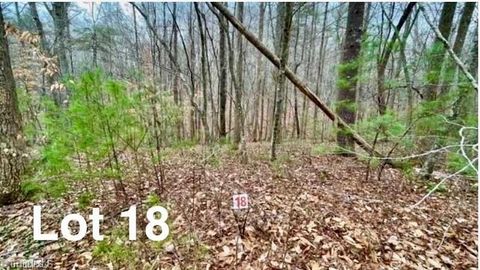 Vacant Land For Sale - LOT 18 Woods Haven Lane<br/> Patrick County, Stuart, VA 24171