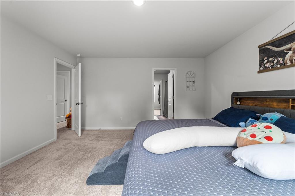 139 Charleston Meadow Loop, Mocksville, North Carolina image 21