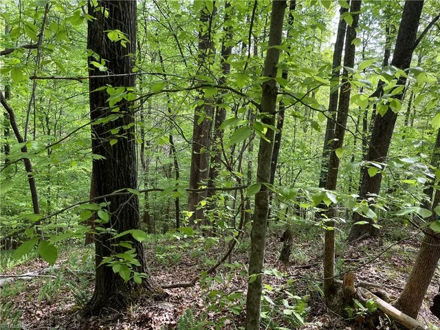 0 Sheets Trail, photo 5 of 6