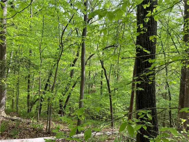 0 Sheets Trail, photo 3 of 6