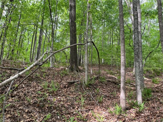 0 Sheets Trail, photo 4 of 6