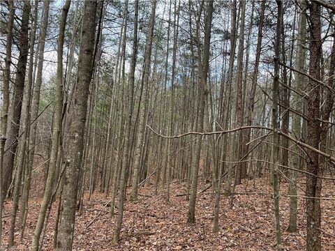 Vacant Land For Sale - LOT 12 Fisher Valley Road<br/> Dobson, NC 27017
