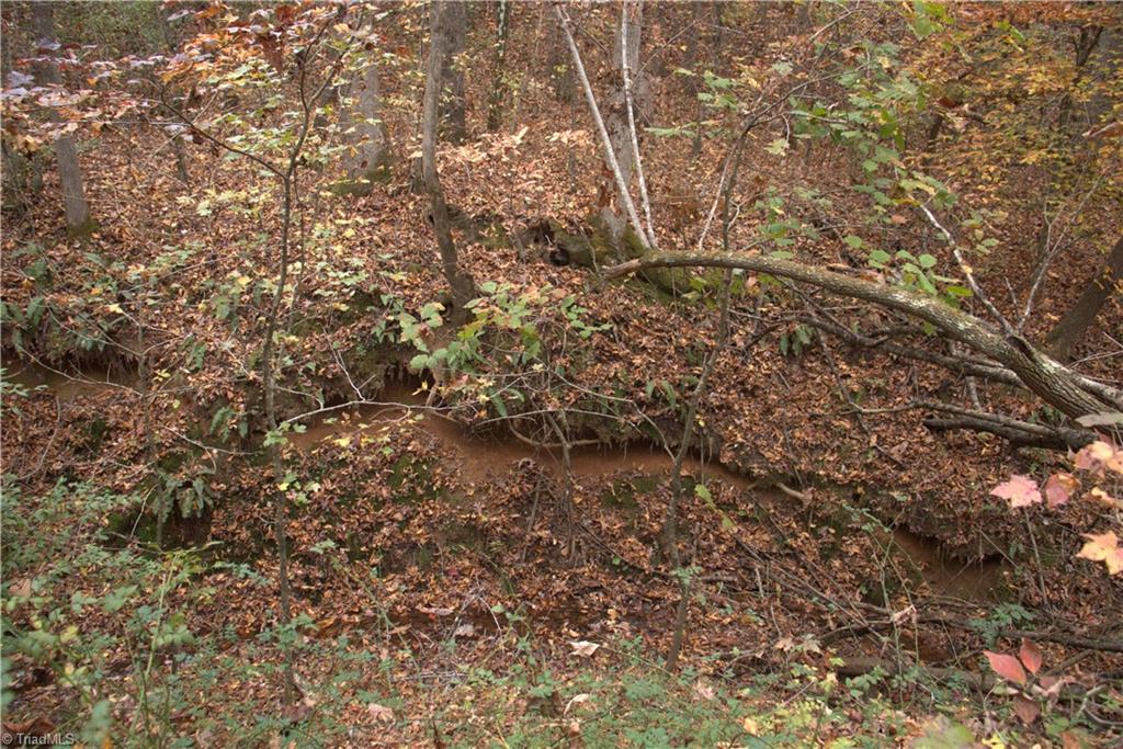 Griffin Road, Stokesdale, North Carolina image 7