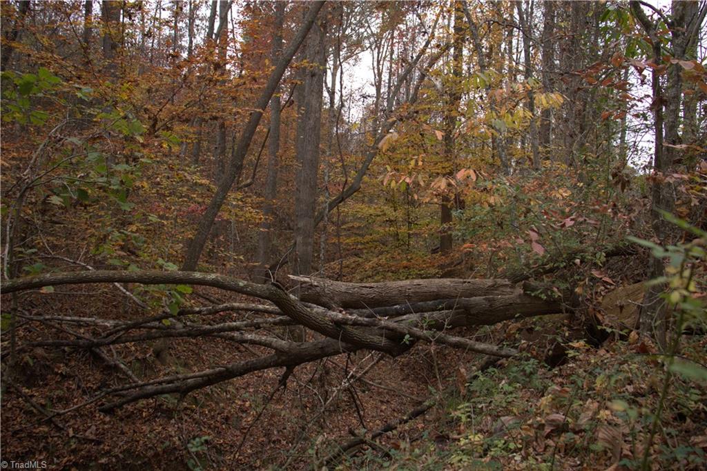 Griffin Road, Stokesdale, North Carolina image 8