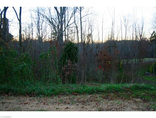 705 CROSWELL CT, WHITSETT, NC 27377 - Image f3c13c234e890b0b564cd7e5ddef5f1e/1785702634