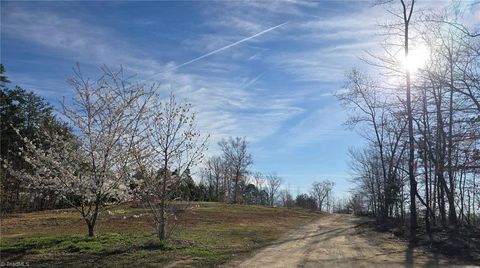 Vacant Land For Sale - 199 Rose Of Sharon Lane<br/> Lexington, NC 27292