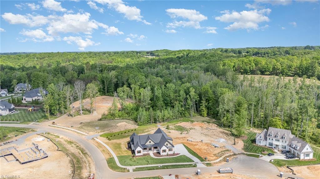 8800 Knoll Creek Court, Oak Ridge, North Carolina image 44