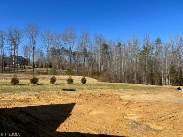 8800 Knoll Creek Court, Oak Ridge, North Carolina image 16