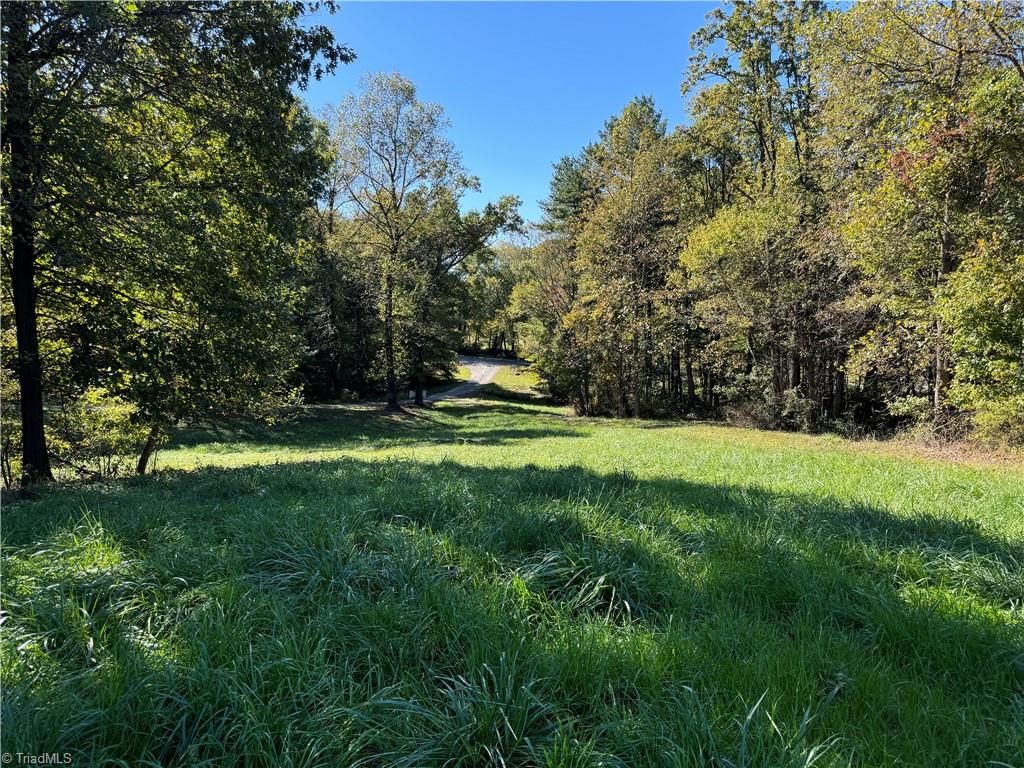 115 Rippling Water Lane, Dobson, North Carolina image 13