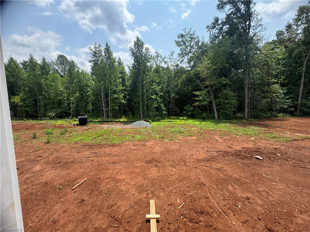 5504 Jaeger Drive #LOT 76, Graham, North Carolina image 33