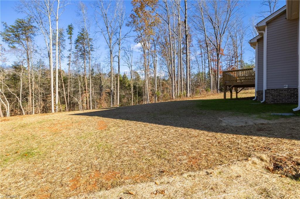 7737 Sedgewick Ridge Road, Lewisville, North Carolina image 36