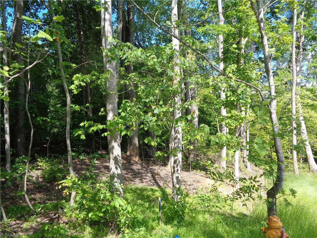5007 Sheffield Place Drive, Kernersville, North Carolina image 3