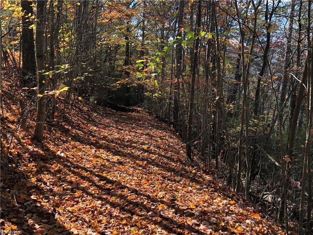 Lot 96 Buck Mountain Road, Purlear, North Carolina image 10