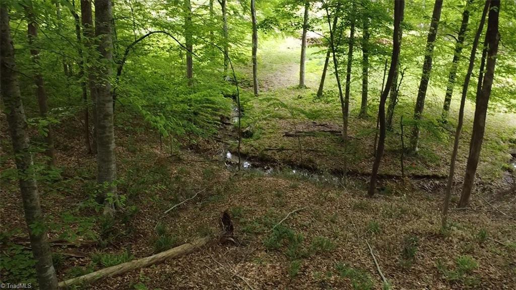 Lot 35 Fox Ridge Road, Asheboro, North Carolina image 5
