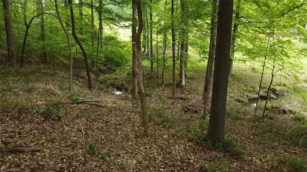Lot 35 Fox Ridge Road, Asheboro, North Carolina image 4