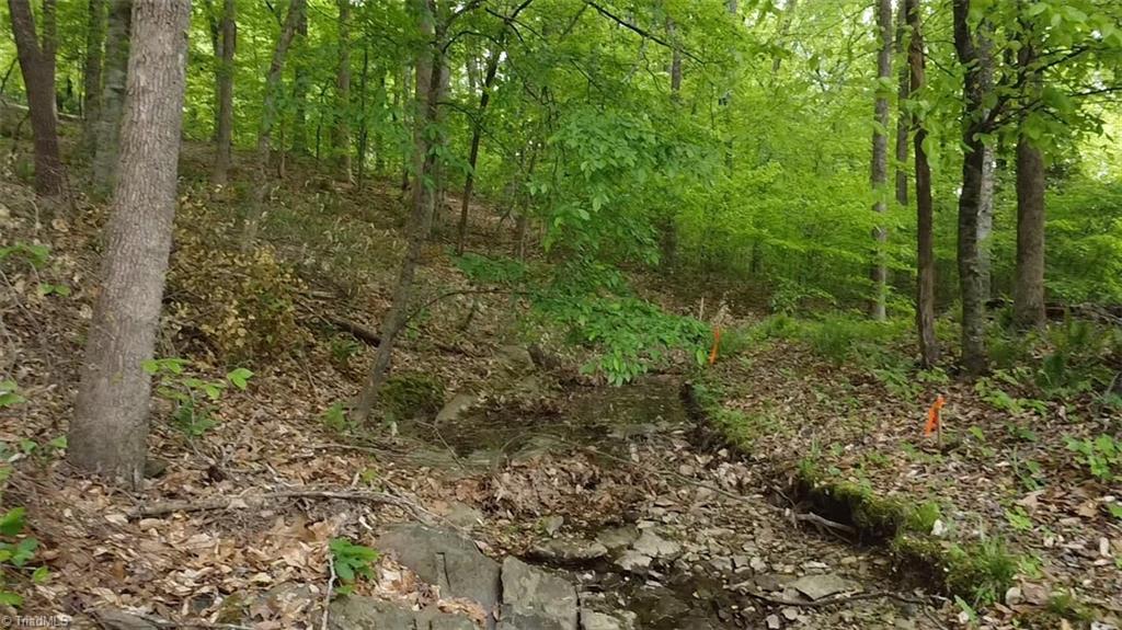 Lot 35 Fox Ridge Road, Asheboro, North Carolina image 13