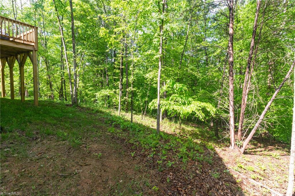 Thayer Road, Trinity, North Carolina image 32
