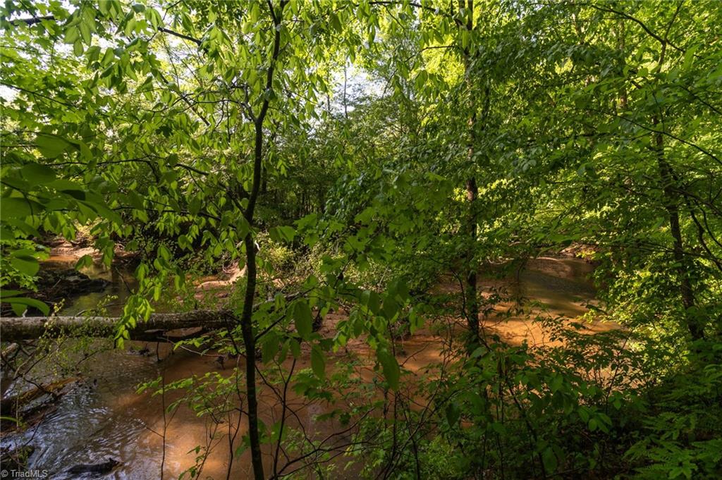 Thayer Road, Trinity, North Carolina image 16