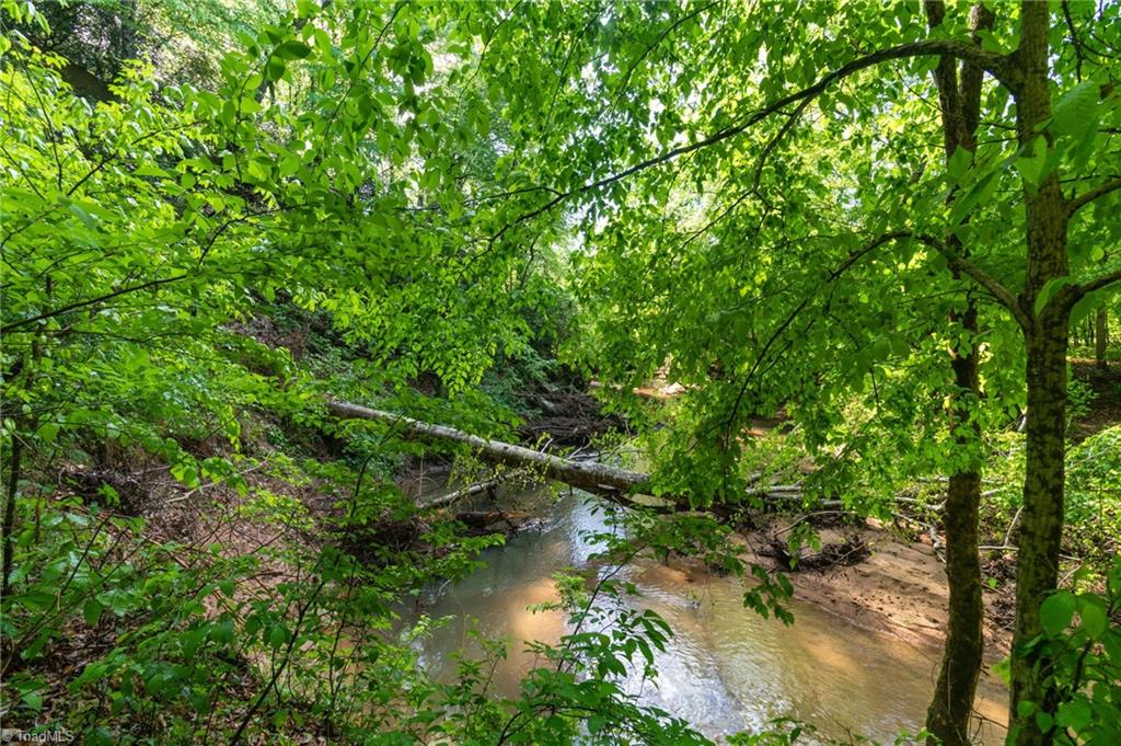Thayer Road, Trinity, North Carolina image 18