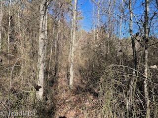 Lot 10 Woodruff Road, Jonesville, North Carolina image 3