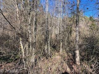 Lot 10 Woodruff Road, Jonesville, North Carolina image 6